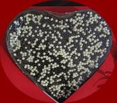 Coração de Chocolate de colher Crispearls - 500g