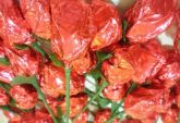 Bouquet de Rosa de chocolate Belga